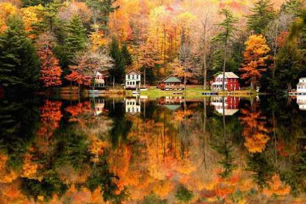 tumblr_ne87q7nppy1rw55hno1_500