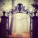 COLORS : The Beauty of Fall !