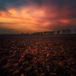 COLORS : The Beauty of Fall !