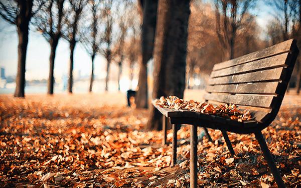 tumblr_ne96fg3cpt1qlcaaeo1_500