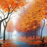 COLORS : The Beauty of Fall !
