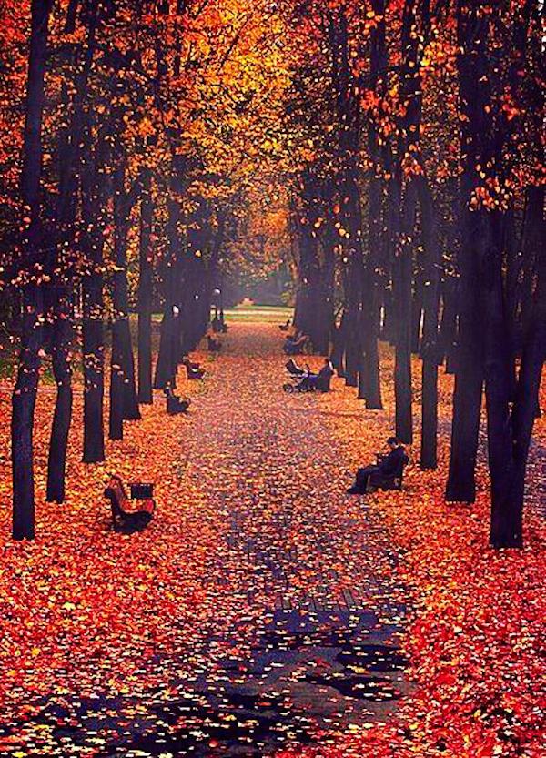 tumblr_ne3xfoCzm41r5ong8o1_500