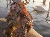 Promenade théière oiseau