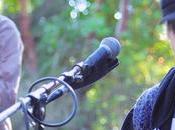 clip jour Rollin Current Swell