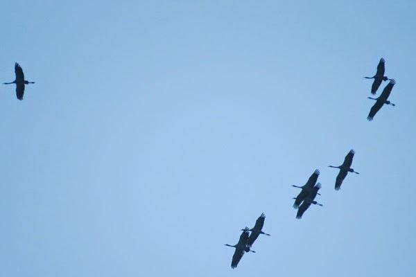 Grandes manoeuvres dans le ciel toulois