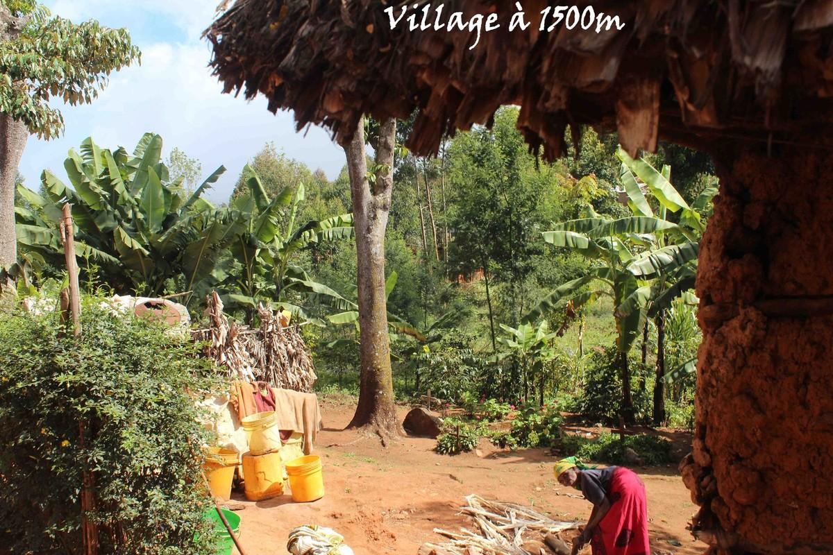 Afrique - Irente lodge 