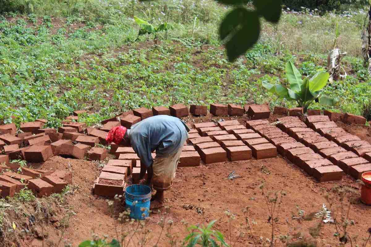 Afrique - Irente lodge 