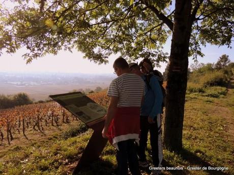 Greeters de Bourgogne : balade à la montagne de Beaune Greeters de Bourgogne : balade à la montagne de Beaune