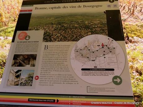 Greeters de Bourgogne : balade à la montagne de Beaune Greeters de Bourgogne : balade à la montagne de Beaune