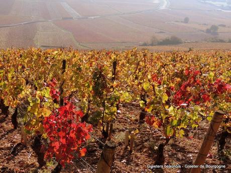 Greeters de Bourgogne : balade à la montagne de Beaune