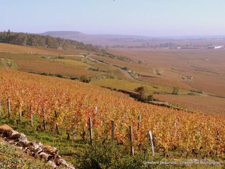 Greeters de Bourgogne : balade à la montagne de Beaune Greeters de Bourgogne : balade à la montagne de Beaune