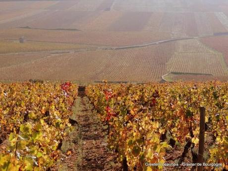 Greeters de Bourgogne : balade à la montagne de Beaune Greeters de Bourgogne : balade à la montagne de Beaune