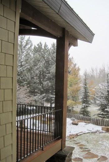 Fin du vélo tout terrain ?