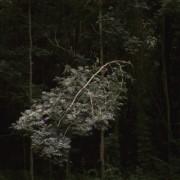 Exposition « Being Beauteous » & Jean-François Joly au Chateau d’Eau | Toulouse