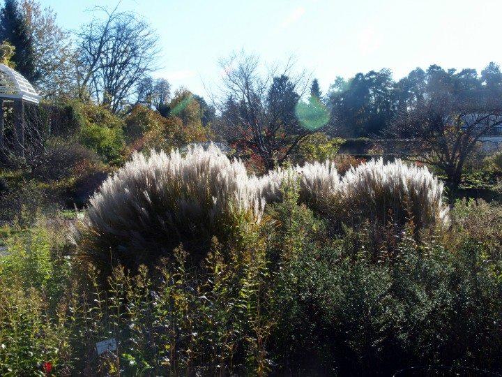 Impressions et reflets botaniques / Botanischer Garten