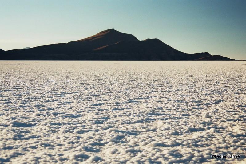 Le Salar d'Uyuni : 3653 m. Le plus grand désert de sel au monde ! Le sol est faconné par les vents, sur une mer intérieure à la poursuite d'iles fantômatqiues...Sur l'Isla de Los Pescadores, se trouve des cactus Trichoreus, dont certains mesurent plus de 12 mètres !