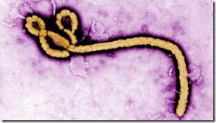 virus_ebola