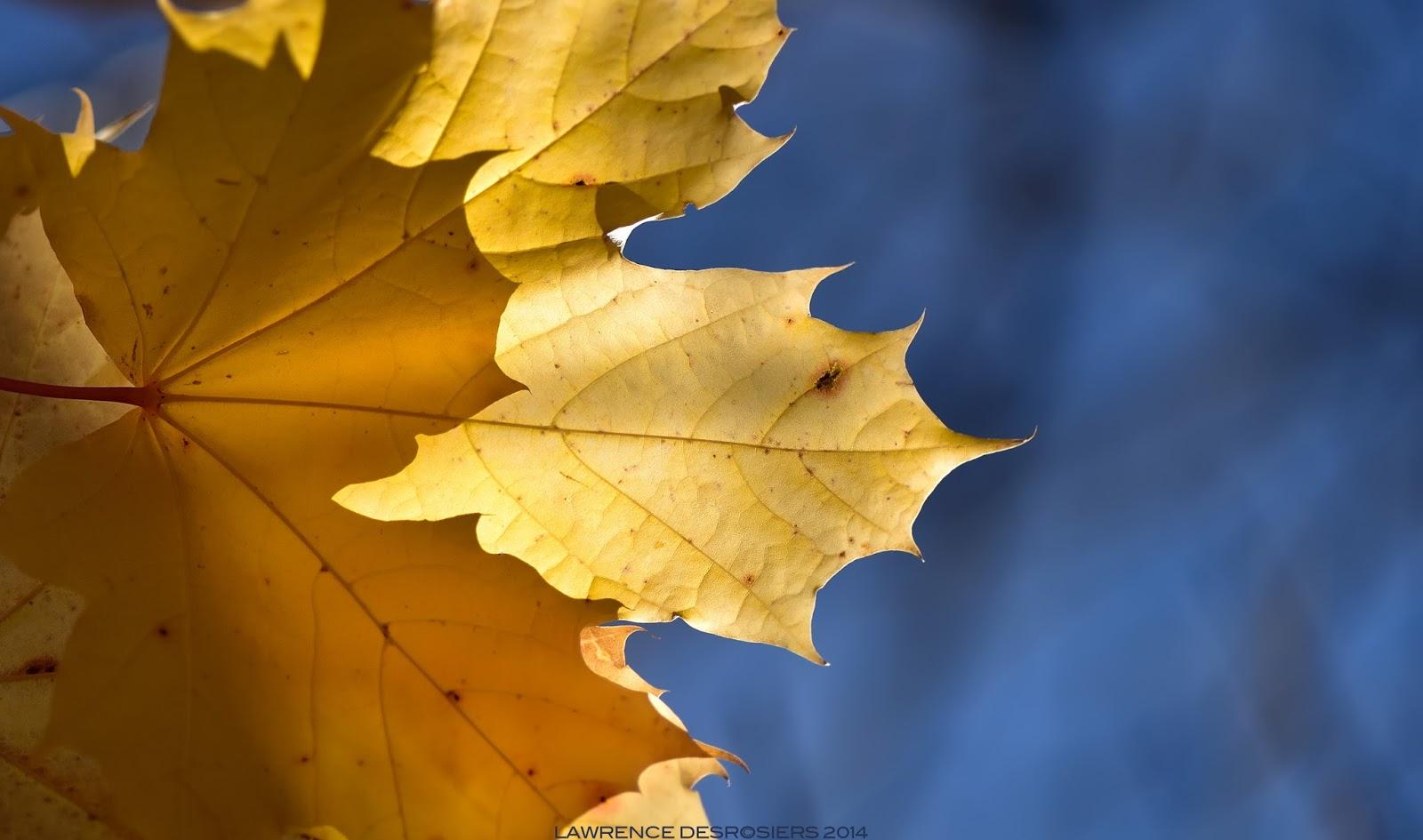 La mort en couleurs…