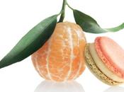 Gourmandise macaron Novembre Pierre Marcolini
