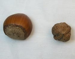 La nature est surprenante