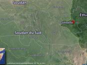 Éthiopie intervention d’urgence Gambella auprès réfugiés Soudan