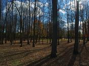 l'automne poursuit....