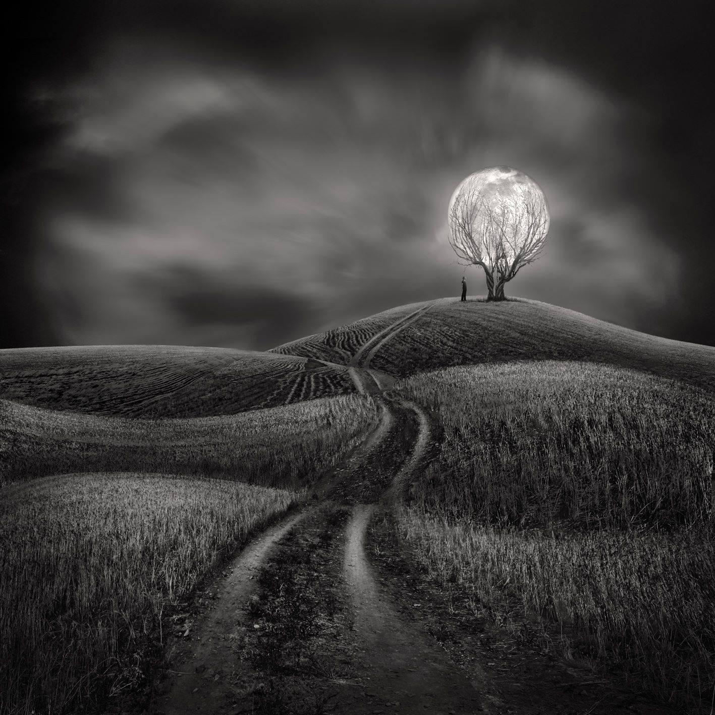 Sherry Akrami - digitale Art photo manipulation