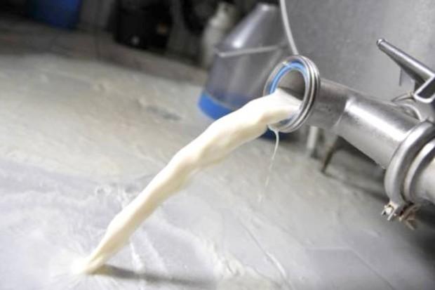 Production laitière en Algérie -L’Autriche veut apporter sa contribution