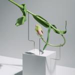 PHOTOGRAPHIE : Postures by Carl Kleiner