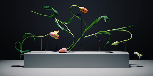PHOTOGRAPHIE : Postures by Carl Kleiner