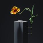 PHOTOGRAPHIE : Postures by Carl Kleiner