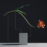 PHOTOGRAPHIE : Postures by Carl Kleiner