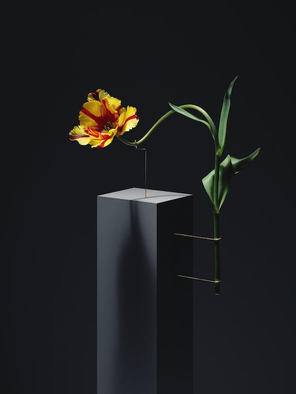 2013_POSTURES_09_V3-crop