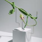 PHOTOGRAPHIE : Postures by Carl Kleiner