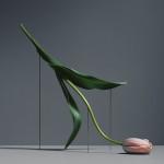 PHOTOGRAPHIE : Postures by Carl Kleiner