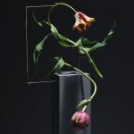 PHOTOGRAPHIE : Postures by Carl Kleiner