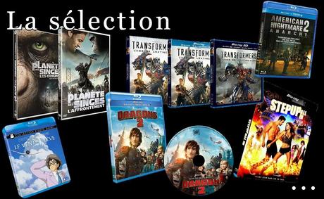 Sorties DVDs / Blu-Rays Novembre 2014