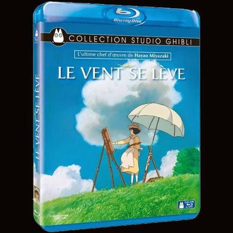 Sorties DVDs / Blu-Rays Novembre 2014