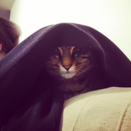 Insta'Octobre #2 Insta'Octobre #2