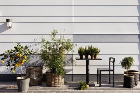 Suède / Une maison lumineuse aux nombreuses touches de vert  /