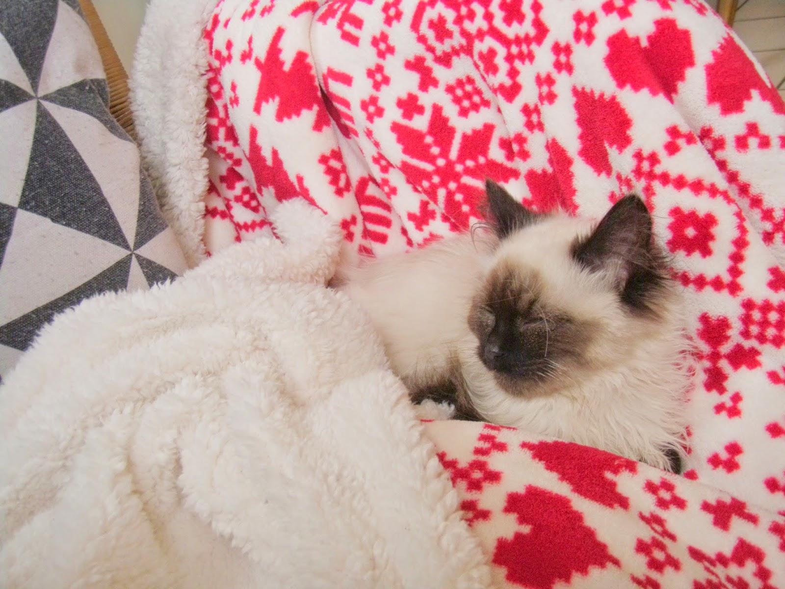 Comme dans un cocon.