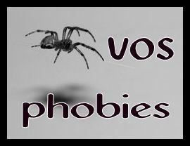 chat qui louche maykan alain gagnon francophonie