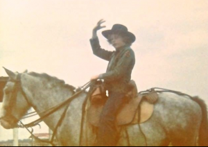 Camargue chez les Guillermes