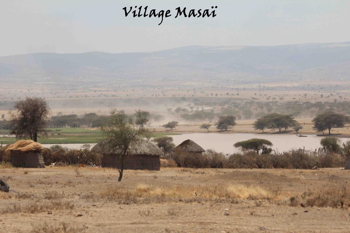 Afrique - Irente lodge (suite)