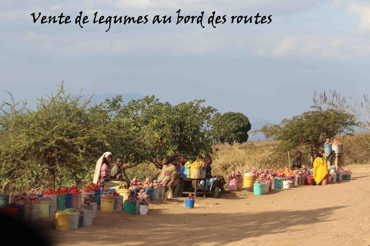 Afrique - Irente lodge (suite)