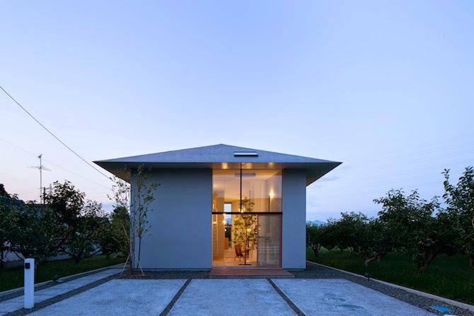 Japon / Un arbre dans la maison /