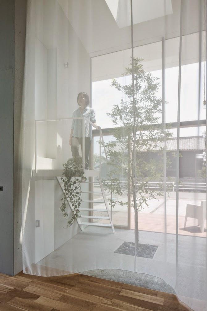 Japon / Un arbre dans la maison /