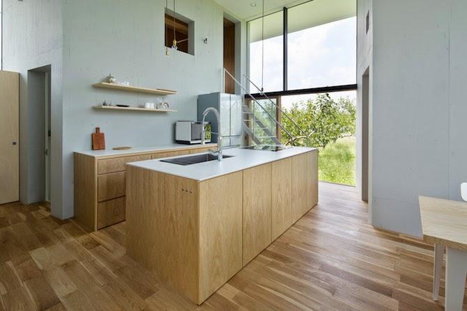 Japon / Un arbre dans la maison /