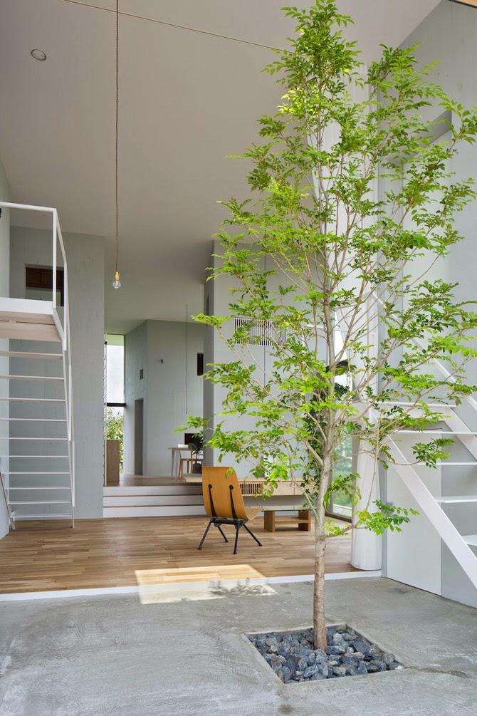 Japon / Un arbre dans la maison /