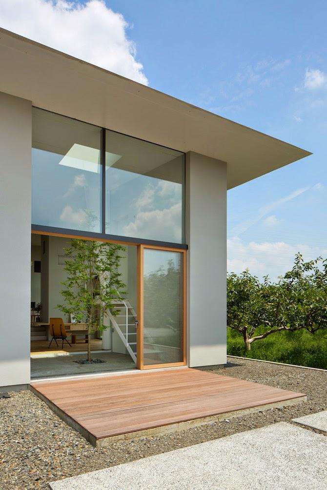 Japon / Un arbre dans la maison /